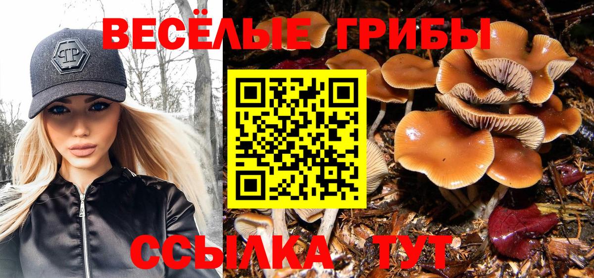 Галлюциногенные грибы мухоморы  Вход с VPN  Псилоцибиновые грибы Psilocybe  Зеленодольск 